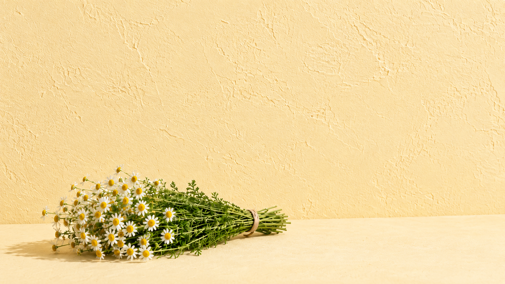 Fresh chamomile bouquet resting on a warm sand-toned surface.