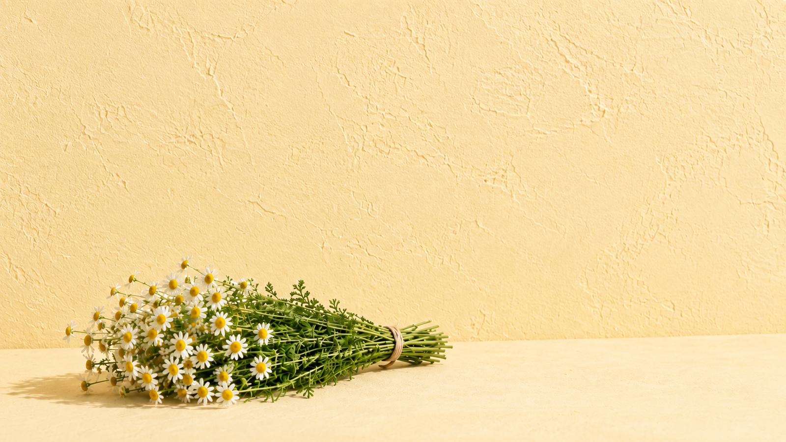 Fresh chamomile bouquet resting on a warm sand-toned surface.